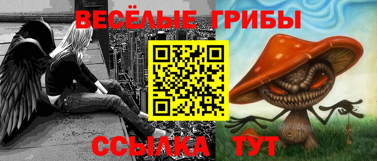 Галлюциногенные грибы Cubensis Киреевск