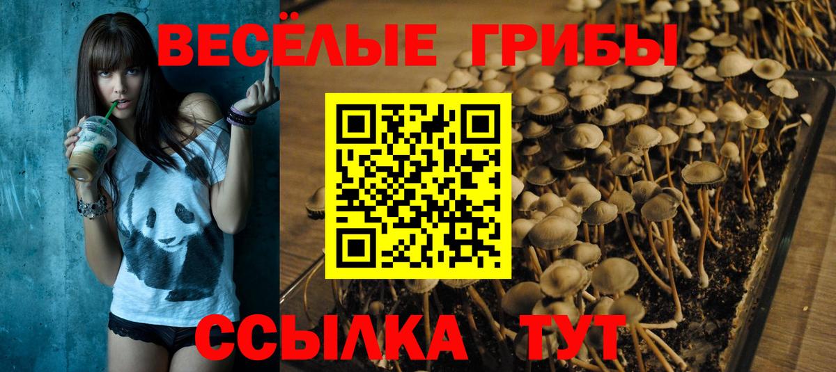 Галлюциногенные грибы Cubensis  Галлюциногенные грибы мухоморы  где продают наркотики  Вход с VPN  Киреевск 